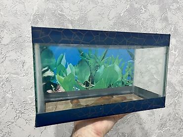 Dördbucaq akvarium, Boş, 7 l - şəkil 2