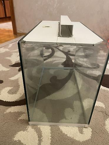 Şüşə akvarium – üst qapaqlı - Material: qalın şəffaf şüşə, silikon - şəkil 4