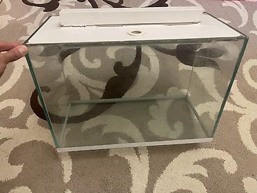 Şüşə akvarium – üst qapaqlı - Material: qalın şəffaf şüşə, silikon - şəkil 3