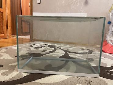 Şüşə akvarium – üst qapaqlı - Material: qalın şəffaf şüşə, silikon - şəkil 2