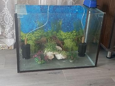 Dördbucaq akvarium, Boş, 100 l - şəkil 4