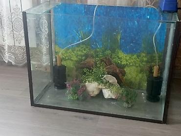 Dördbucaq akvarium, Boş, 100 l - şəkil 2