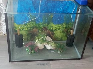 Dördbucaq akvarium, Boş, 100 l - şəkil 3