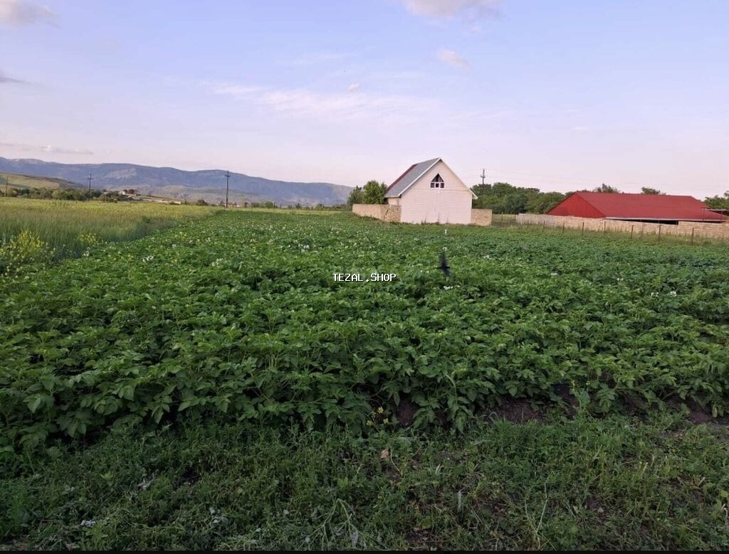 Bakı, 100 kv. m, 2 otaqlı, Hovuzsuz, İşıq