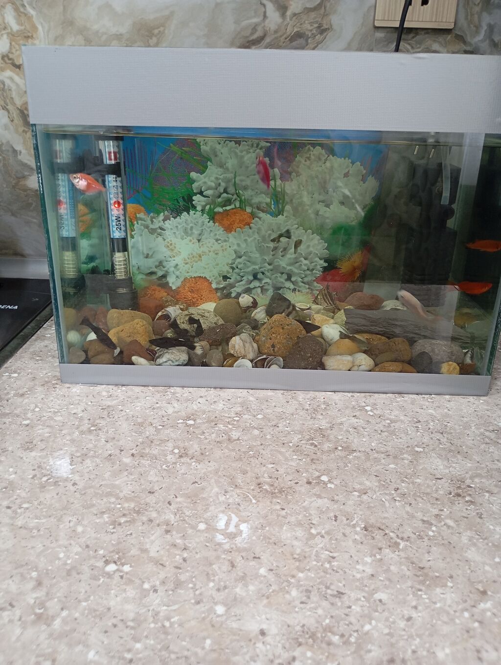 Akvaryum komplekti - Şüşə akvaryum, 17 eder balıqla birlikdə su