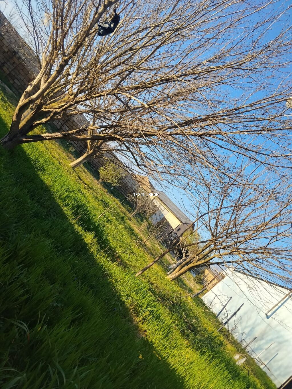 Həyət evi – geniş bağ sahəsi və yaşayış üçün hazırlıqlı otaqlar -