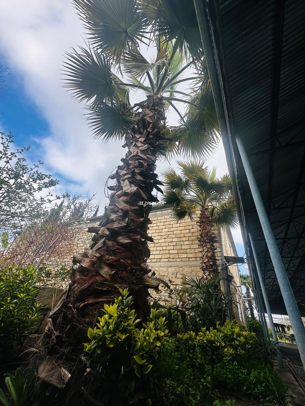 Beyləqan rayonu, Daşburun kəndində, birbaşa yol kənarında yerləşən 2 - şəkil 2