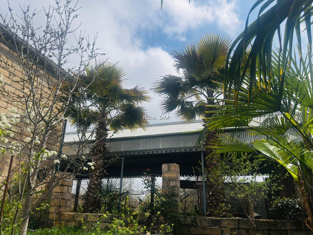 Beyləqan rayonu, Daşburun kəndində, birbaşa yol kənarında yerləşən 2 - şəkil 3