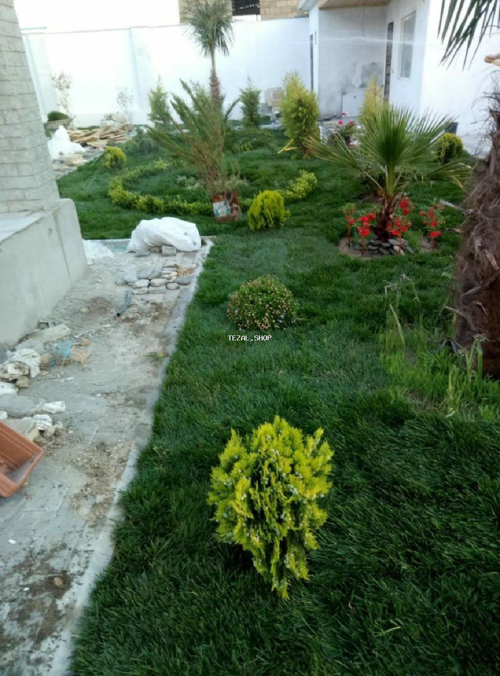 Super qazon enli yarpaq sıx və alaqsız hörmetli ve deyerli