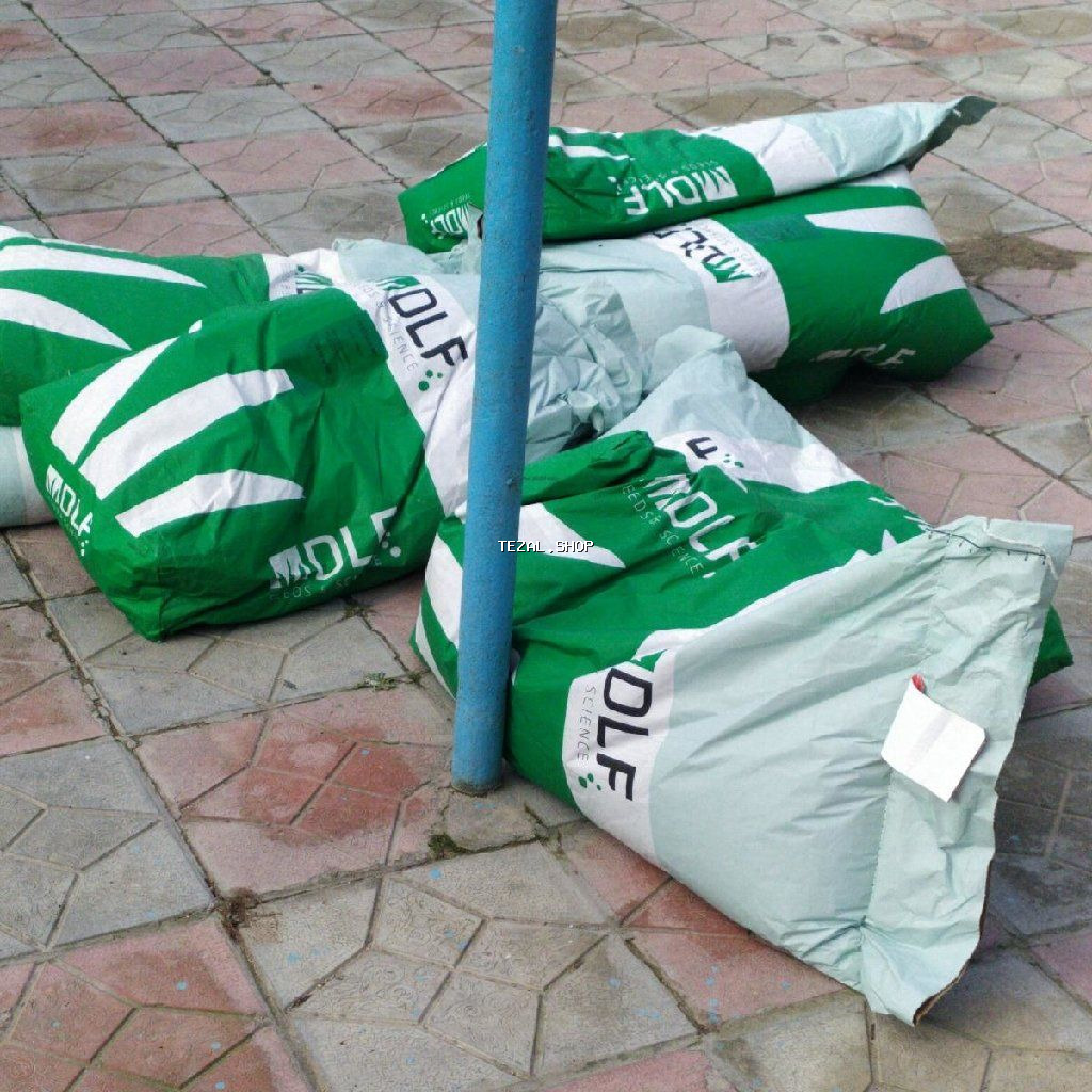 Super qazon enli yarpaq sıx və alaqsız hörmetli ve deyerli - şəkil 4