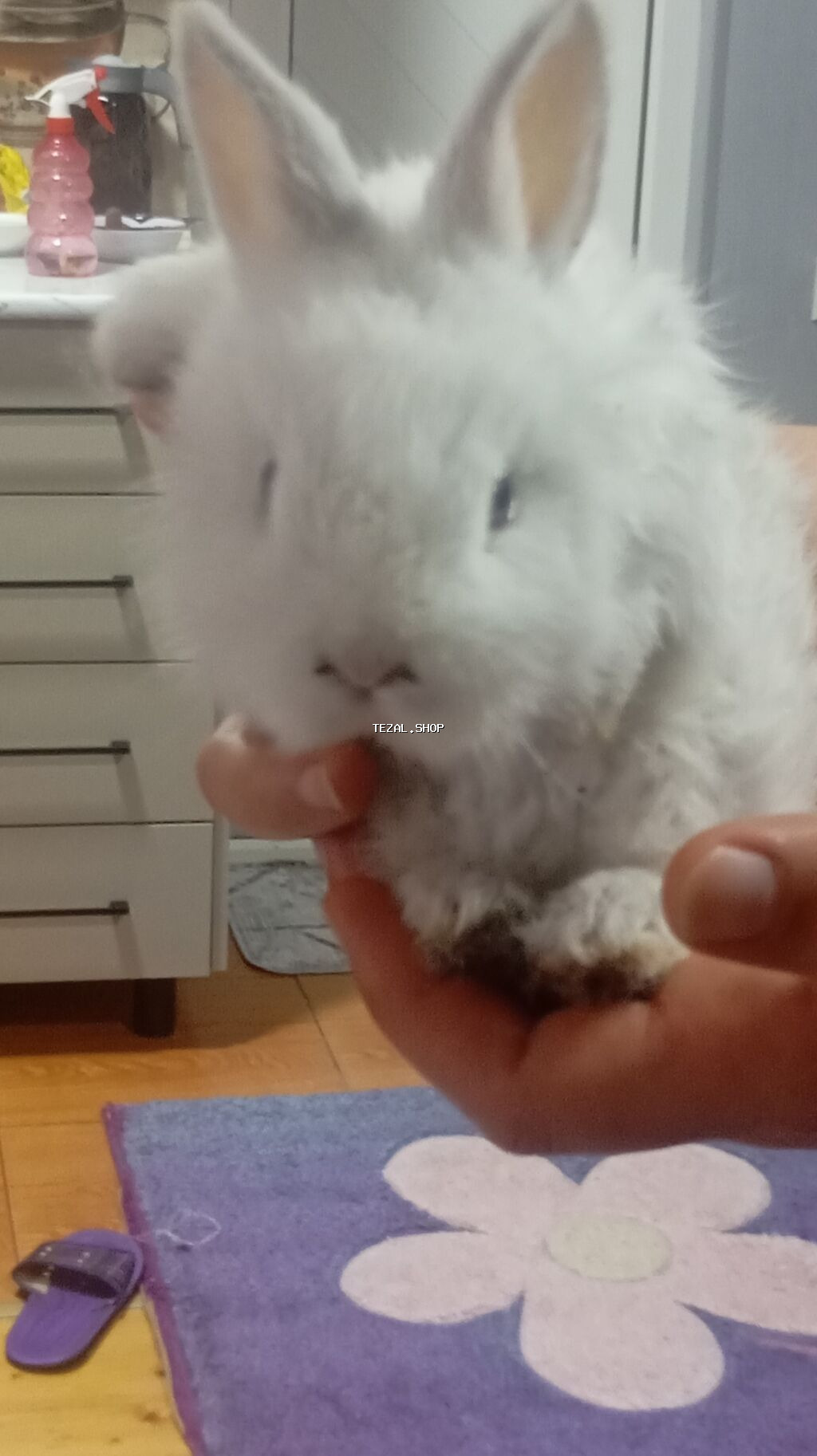 Karlik sortudu etiy dosan deyil