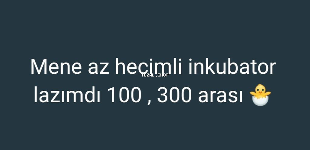300 yumurta, Tam avtomat