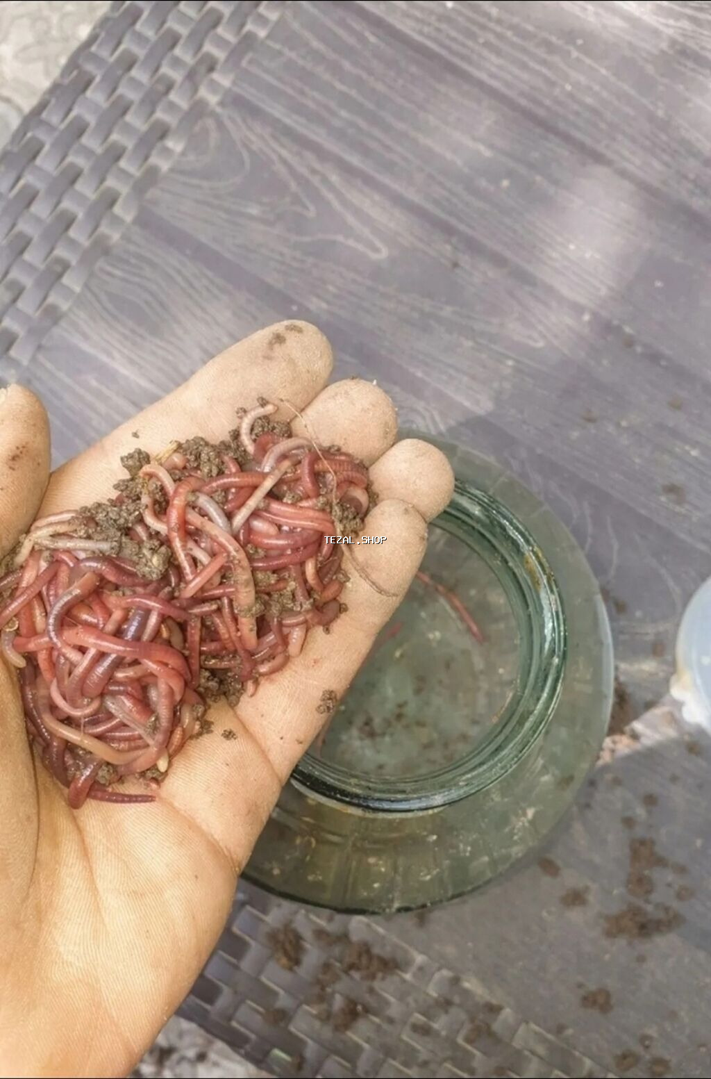 Torpaq qurdu soxulcan metrolara çatdırılma 1.50 azn 50 ədədi 4 azn 100