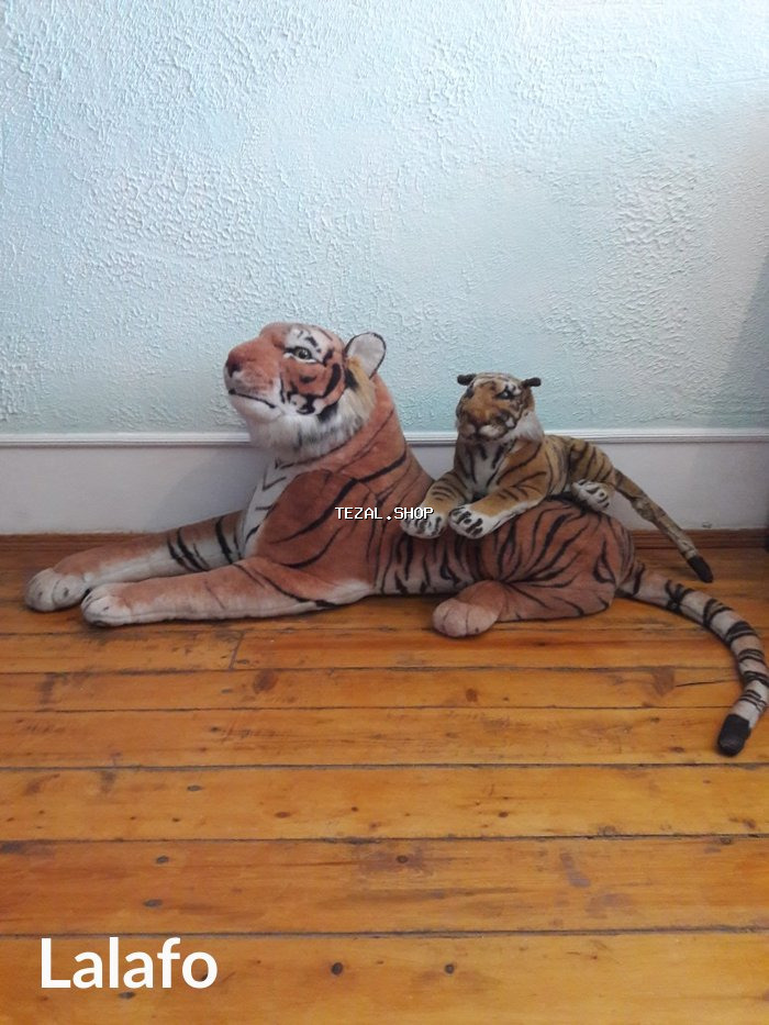 Ev icin maraqll gorunuwdur diqqeti celb edir ehtiyaclm olduqumcun