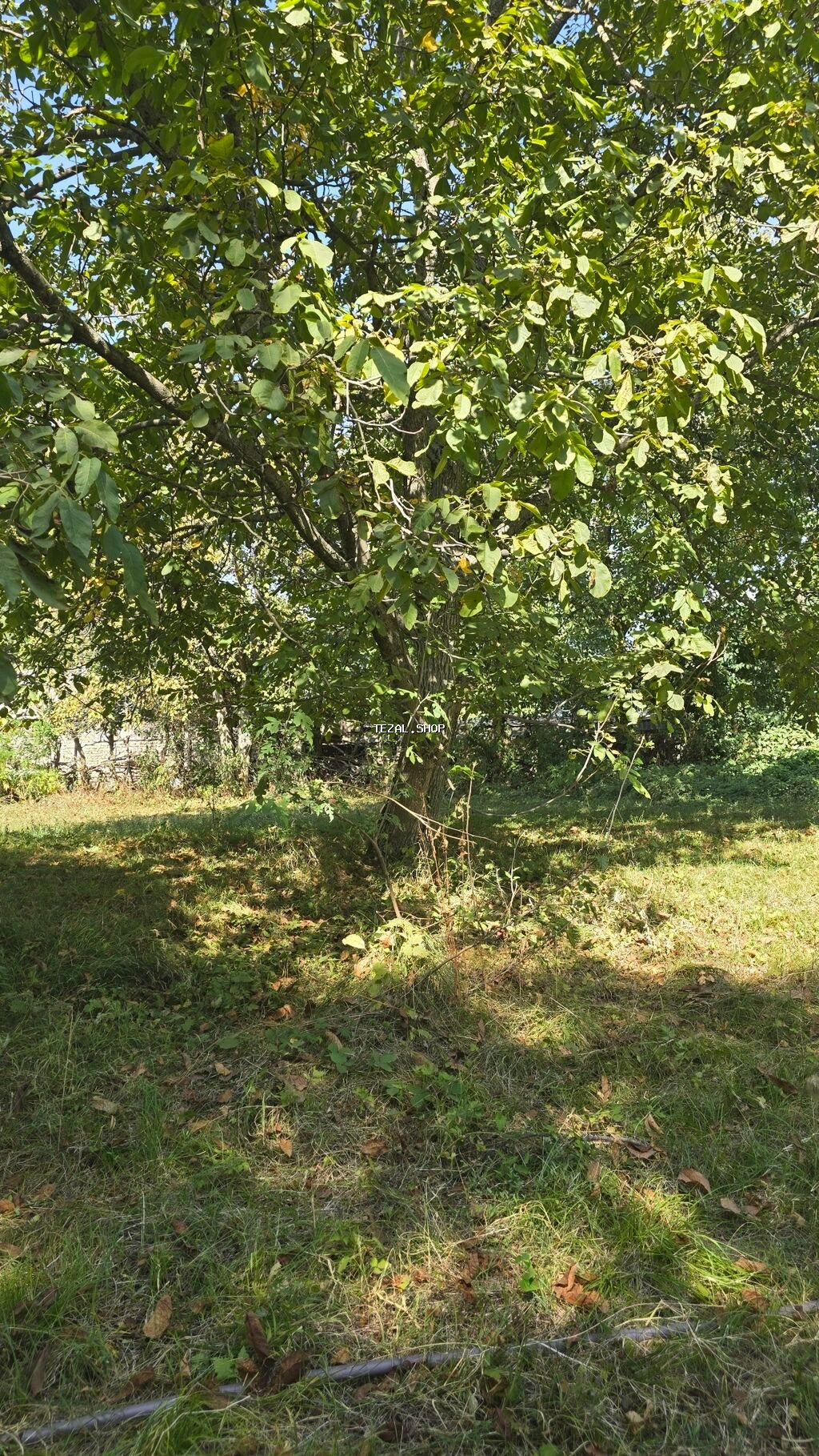 17 sot, Biznes üçün, Mülkiyyətçi, Bələdiyyə, Müqavilə