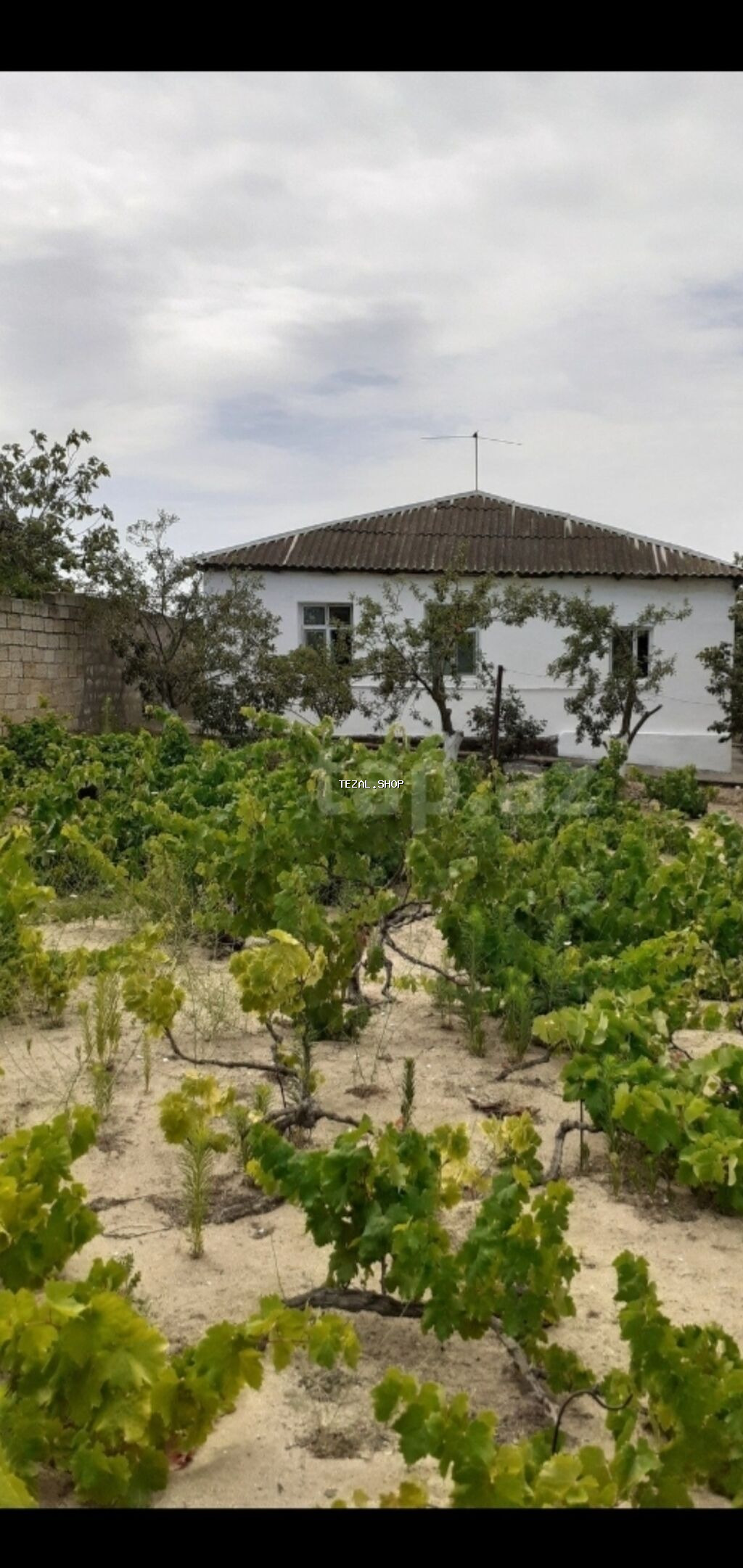 Saray, 90 kv. m, 3 otaqlı, Qaz, İşıq, Su