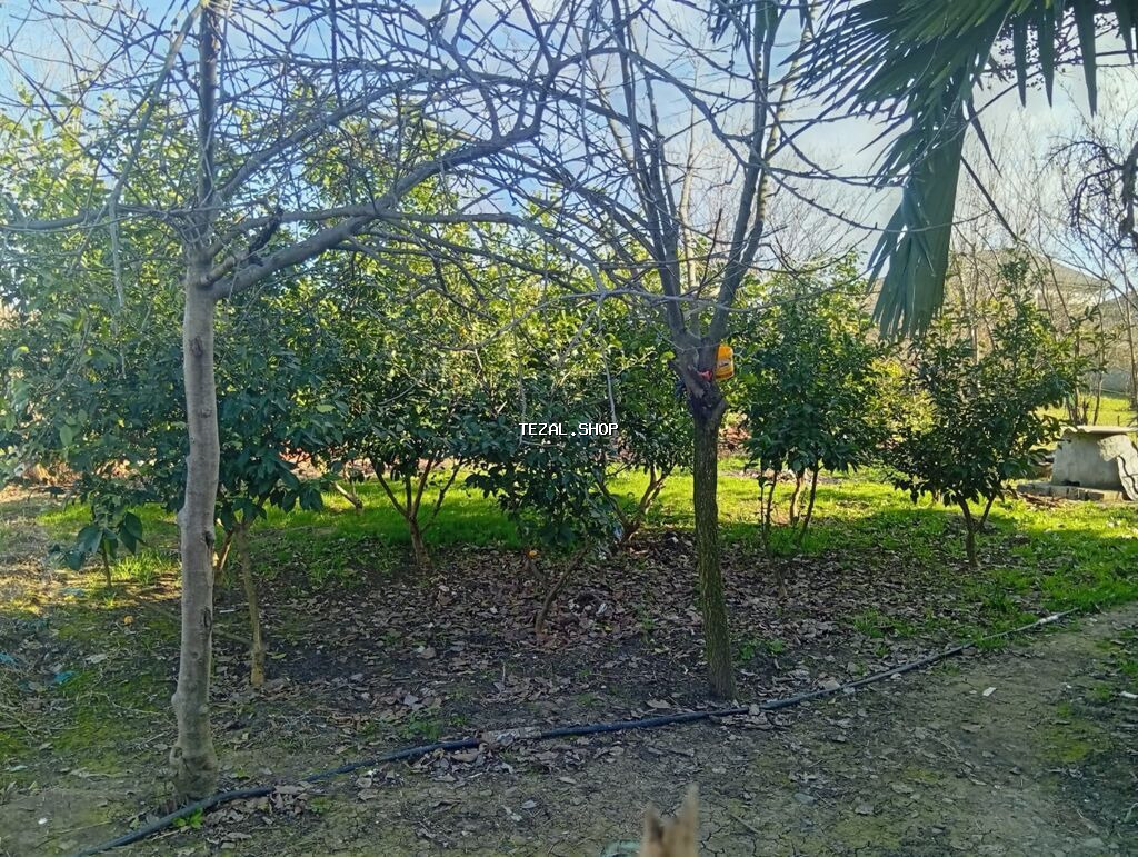 Lənkəran, 91 kv. m, 3 otaqlı, Hovuzsuz, İşıq