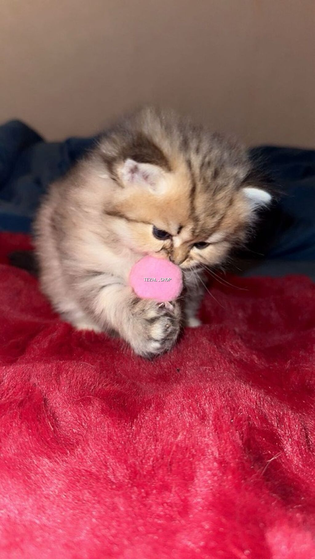 Erkək, Dişi, Yaxşı əllərə, Ünvandan götürmə, Ödənişli çatdırılma - şəkil 3