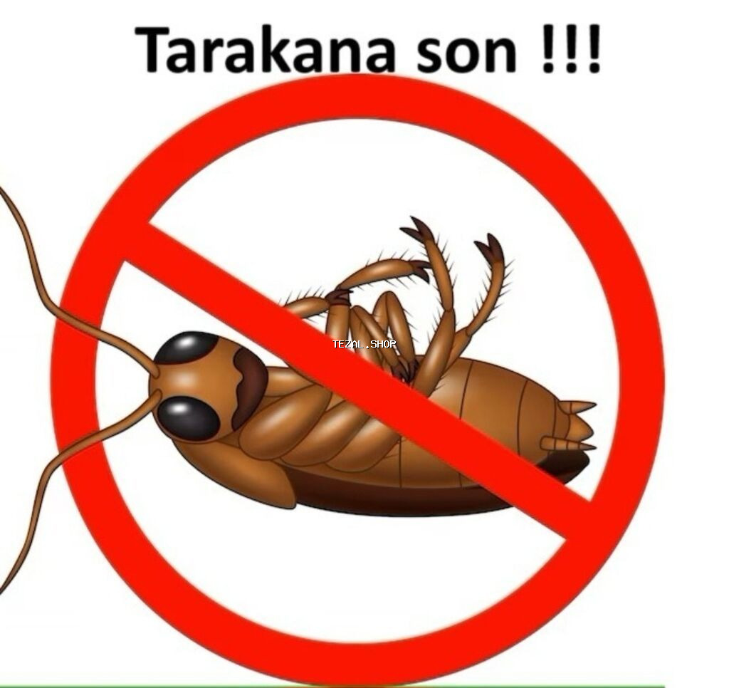 Bütün növ həşəratlara qarşı dərmanlama işləri aparırıq. Gördüyümüz hər