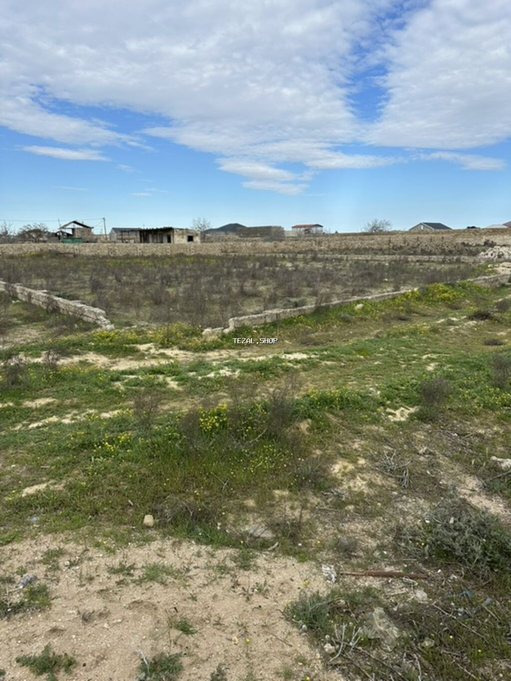 12 sot, Tikinti, Makler, Kupça (Çıxarış)