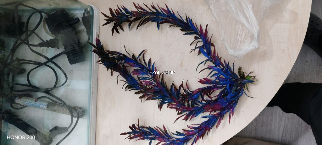 Akvaryum dəsti – tam komplekt Tərkib: - Şüşə akvaryum (üst qapaqla - şəkil 5