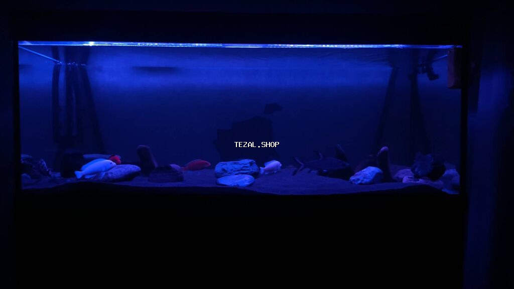 Akvarium-şkaf, Balıqlarla birlikdə, 500 l - şəkil 2