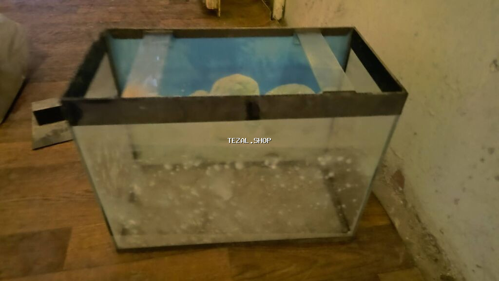 Akvarium-şkaf, Balıqlarla birlikdə, 500 l - şəkil 3