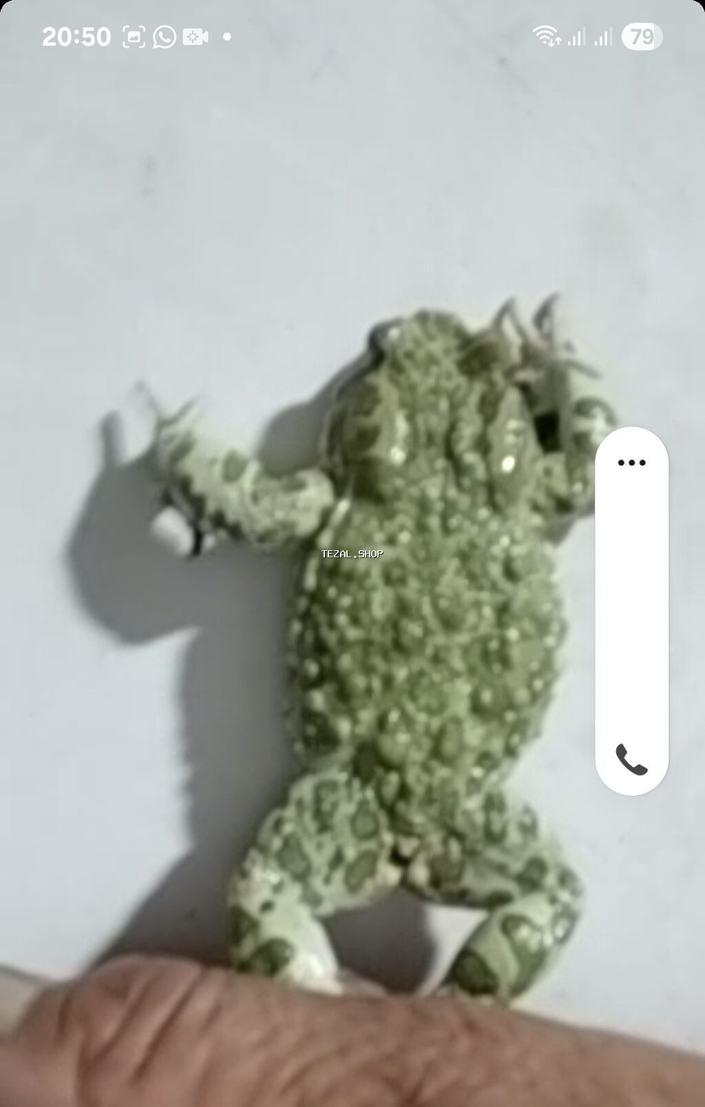 Sülhsevər, Ödənişli çatdırılma