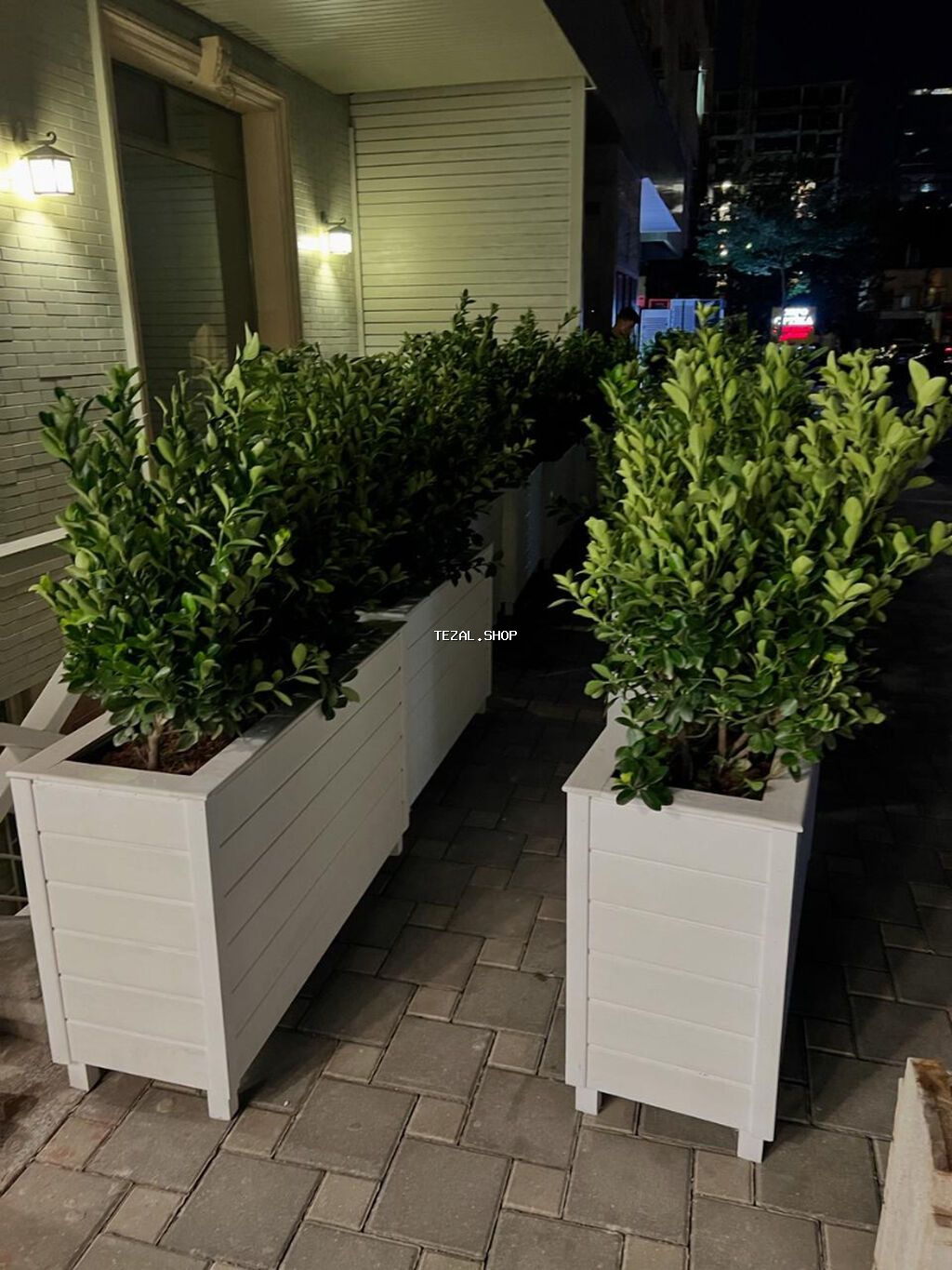 Sifariş vere bilərsiz gulu ilə birgede Satışı var bitki uzun komurlu