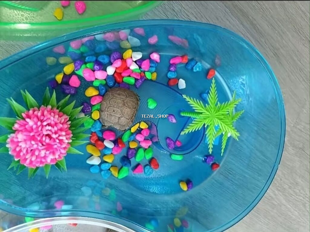 Mini Tısbağa Endirimdədir hal hazırda. 1 ədədi 35 manat . sağlamdır