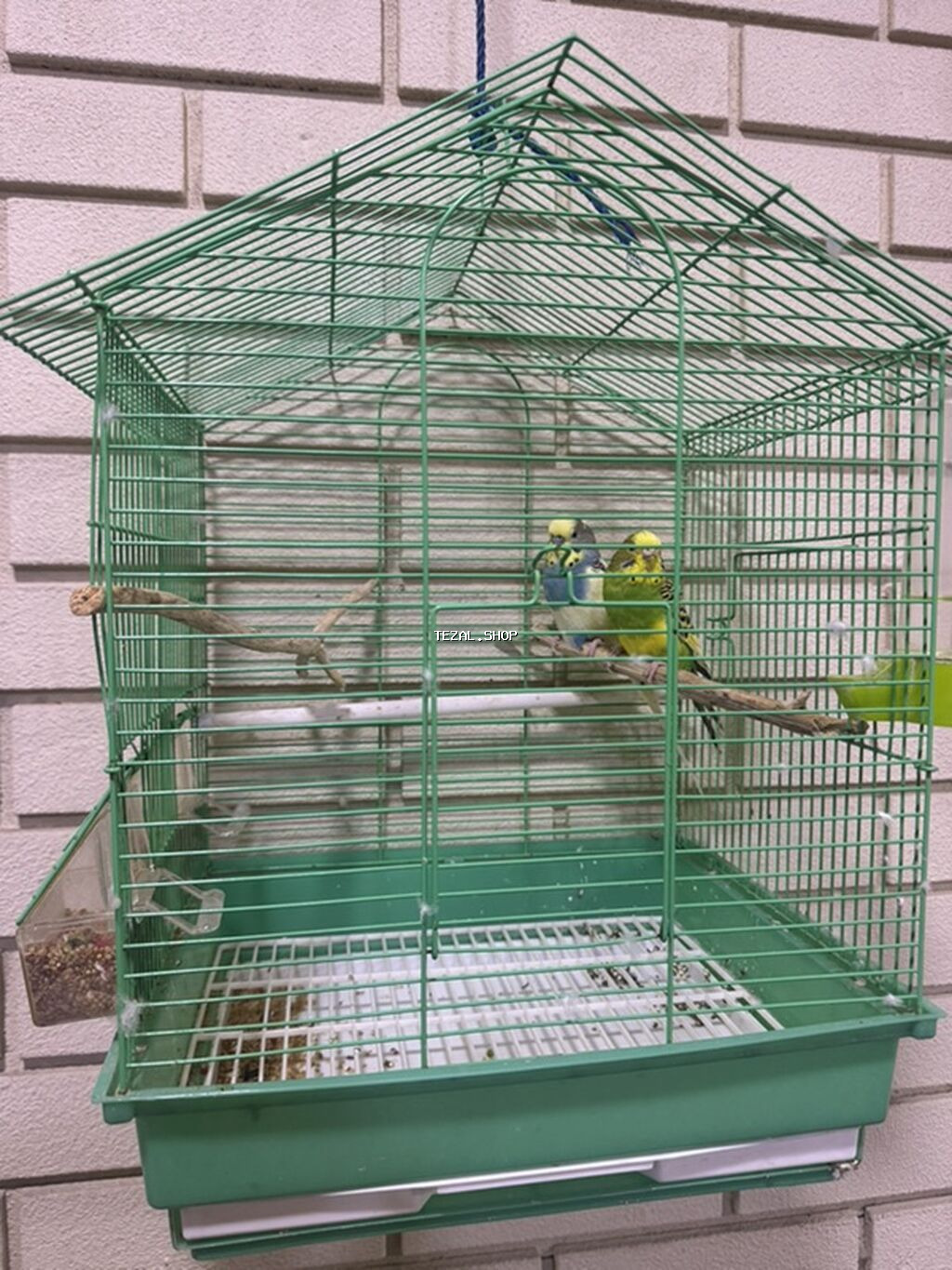 Məhsul: Dəbədəbəli damlı, yaşıl rəngli quş qəfəsi və aksesuarlar