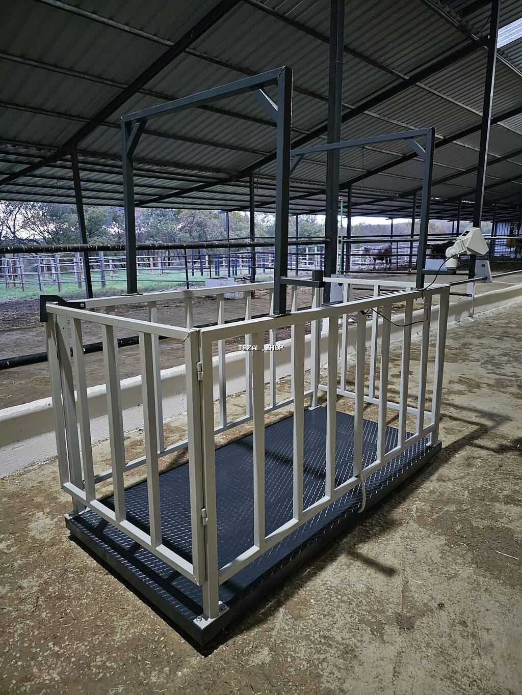 Inək tərəzsi 3 tonluq 1199 başlyır 1500 çin və Türkiyə istehsalı var