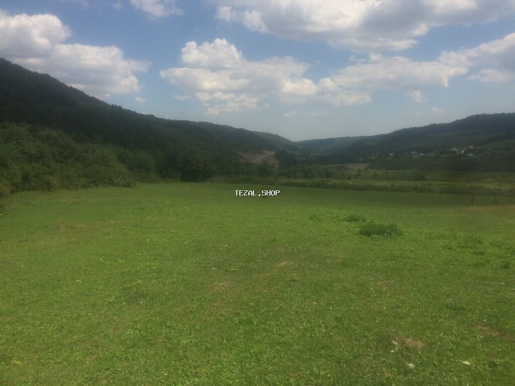 20 sot, Biznes üçün, Mülkiyyətçi, Kupça (Çıxarış)