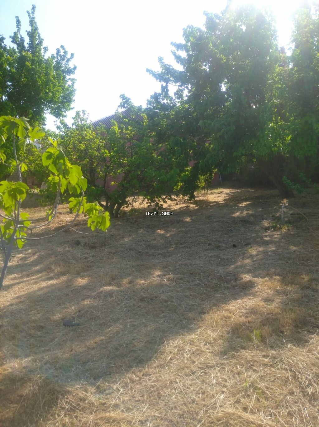 Sumqayıt, 100 kv. m, 3 otaqlı, Hovuzsuz, İşıq, Su