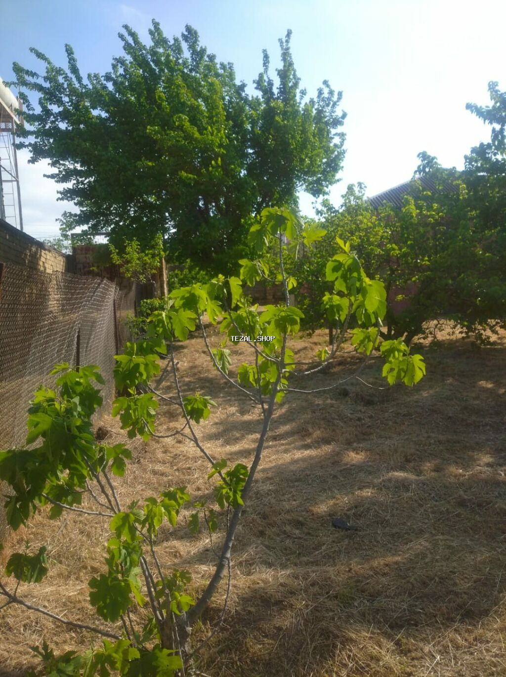 Sumqayıt, 100 kv. m, 3 otaqlı, Hovuzsuz, İşıq, Su - şəkil 2