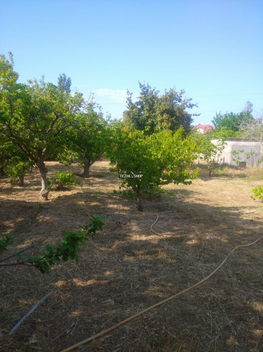 Sumqayıt, 100 kv. m, 3 otaqlı, Hovuzsuz, İşıq, Su - şəkil 5