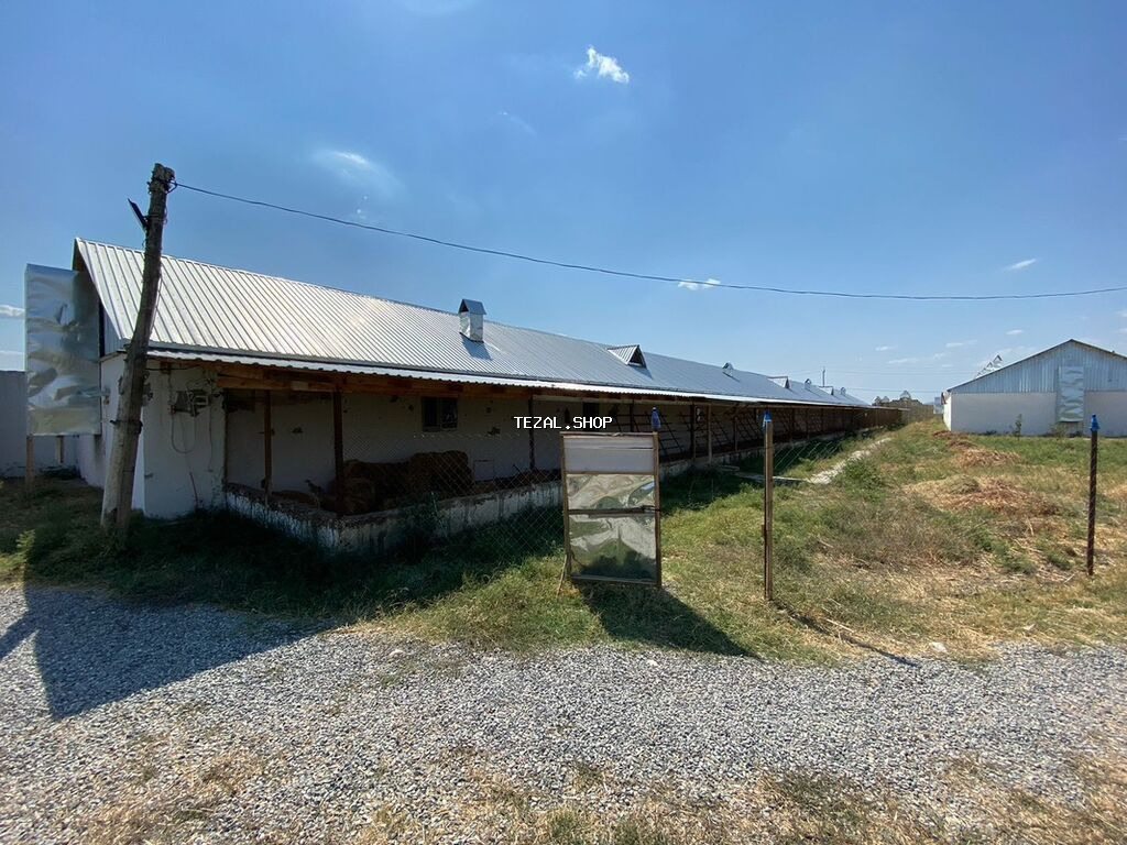 Ferma və təsərrüfat kompleksi 📍Ünvan : Ağsu rayonu • Sahə : 85 sot • - şəkil 2