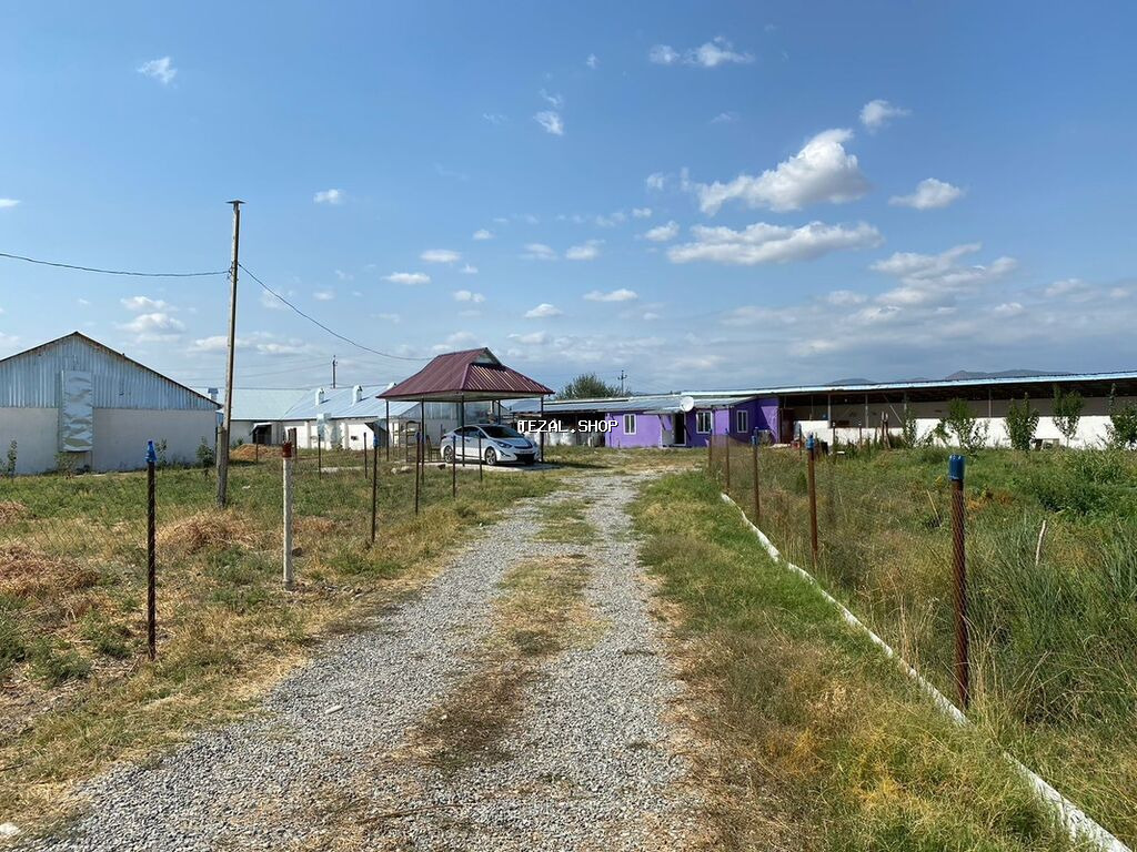 Ferma və təsərrüfat kompleksi 📍Ünvan : Ağsu rayonu • Sahə : 85 sot • - şəkil 3
