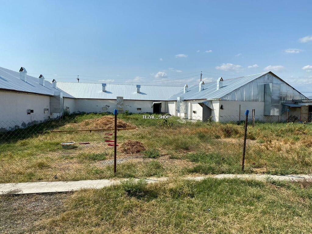 Ferma və təsərrüfat kompleksi 📍Ünvan : Ağsu rayonu • Sahə : 85 sot • - şəkil 5