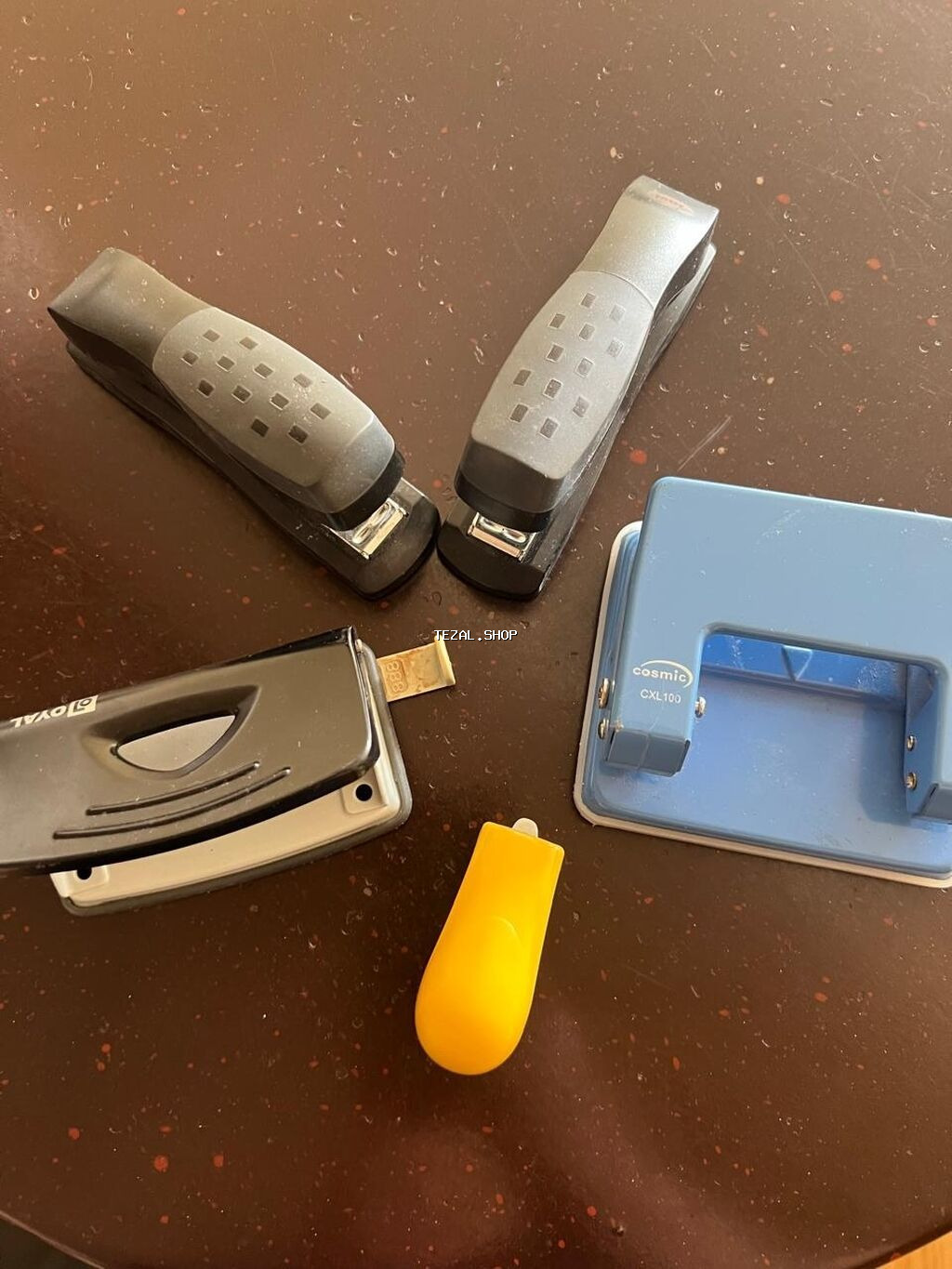 Steplerlər - şəkil 2