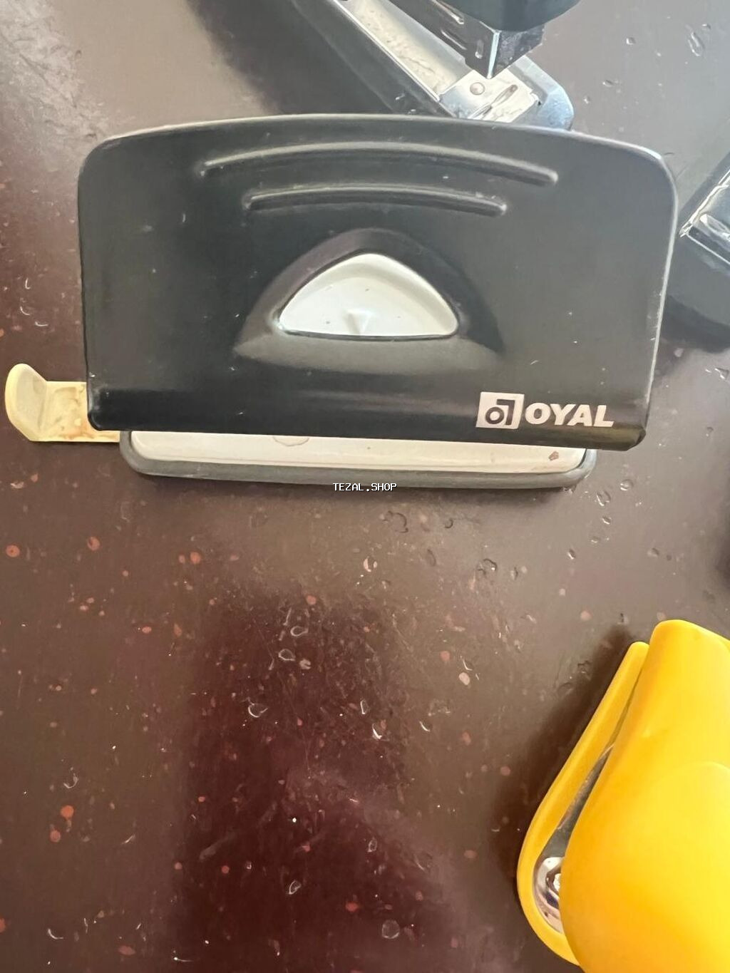 Steplerlər - şəkil 3