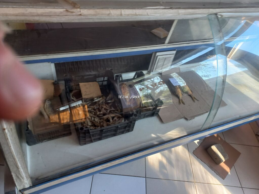 Soyuducu vitrin – mağaza/kafe üçün - Tip: Üfüqi ekspozisiya soyuducu - şəkil 3