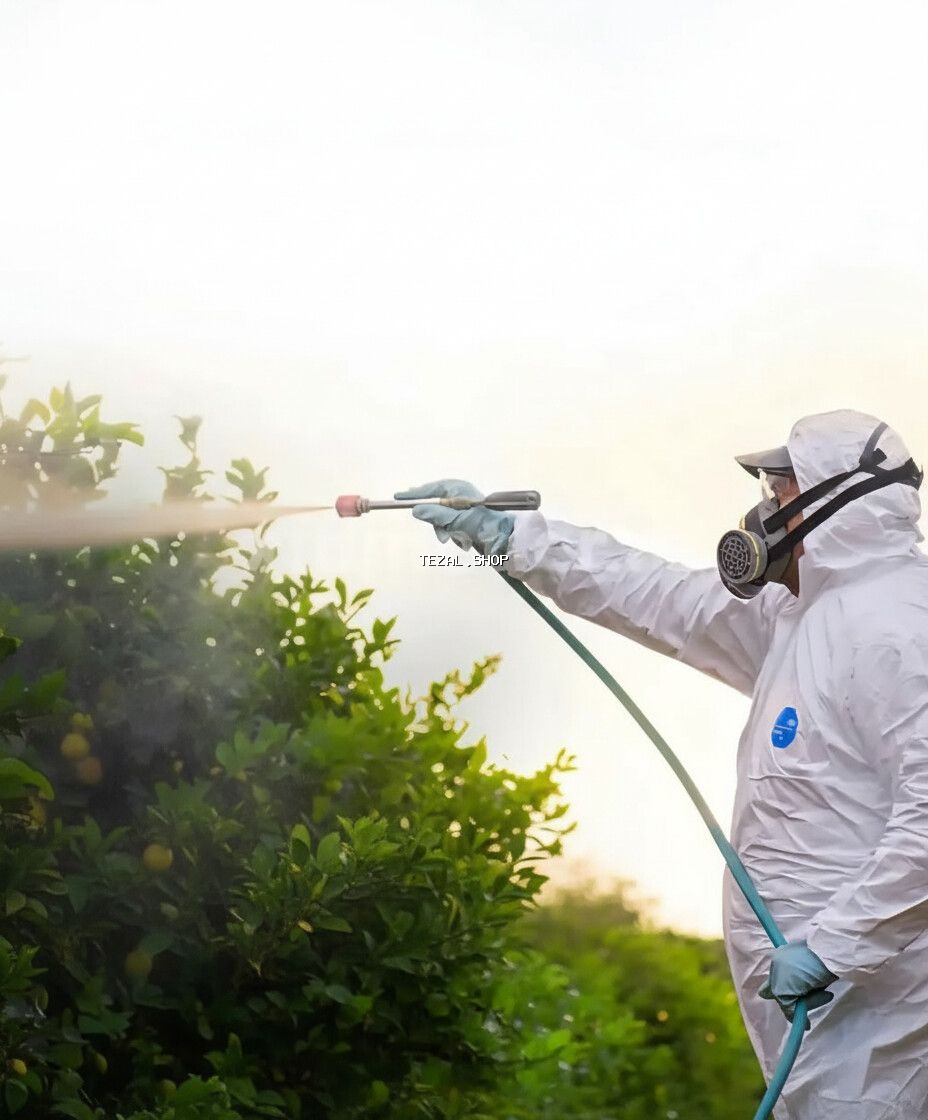 Dezinfeksiya, dezinseksiya | Taxtabiti, Birələr, Tarakanlar | Ofislər, Mənzillər, Evlər