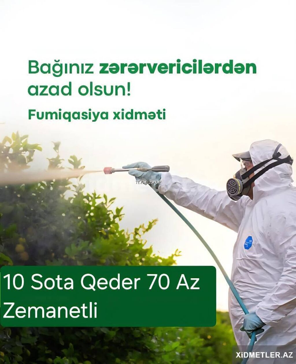 Dezinfeksiya, dezinseksiya | Taxtabiti, Birələr, Tarakanlar | Ofislər, Mənzillər, Evlər - şəkil 2