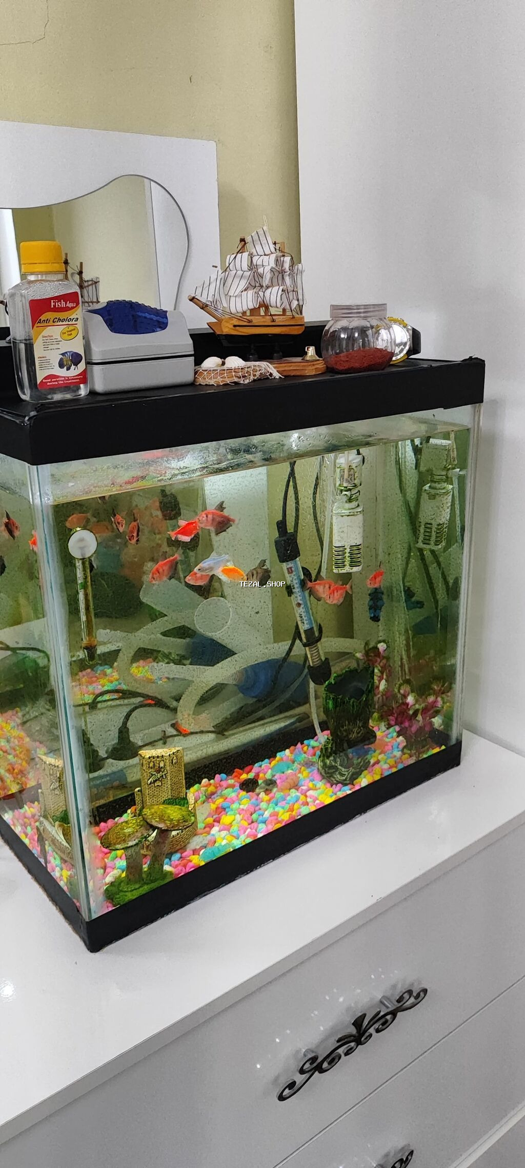 Dördbucaq akvarium, Balıqlarla birlikdə, 60 l, Ödənişli çatdırılma