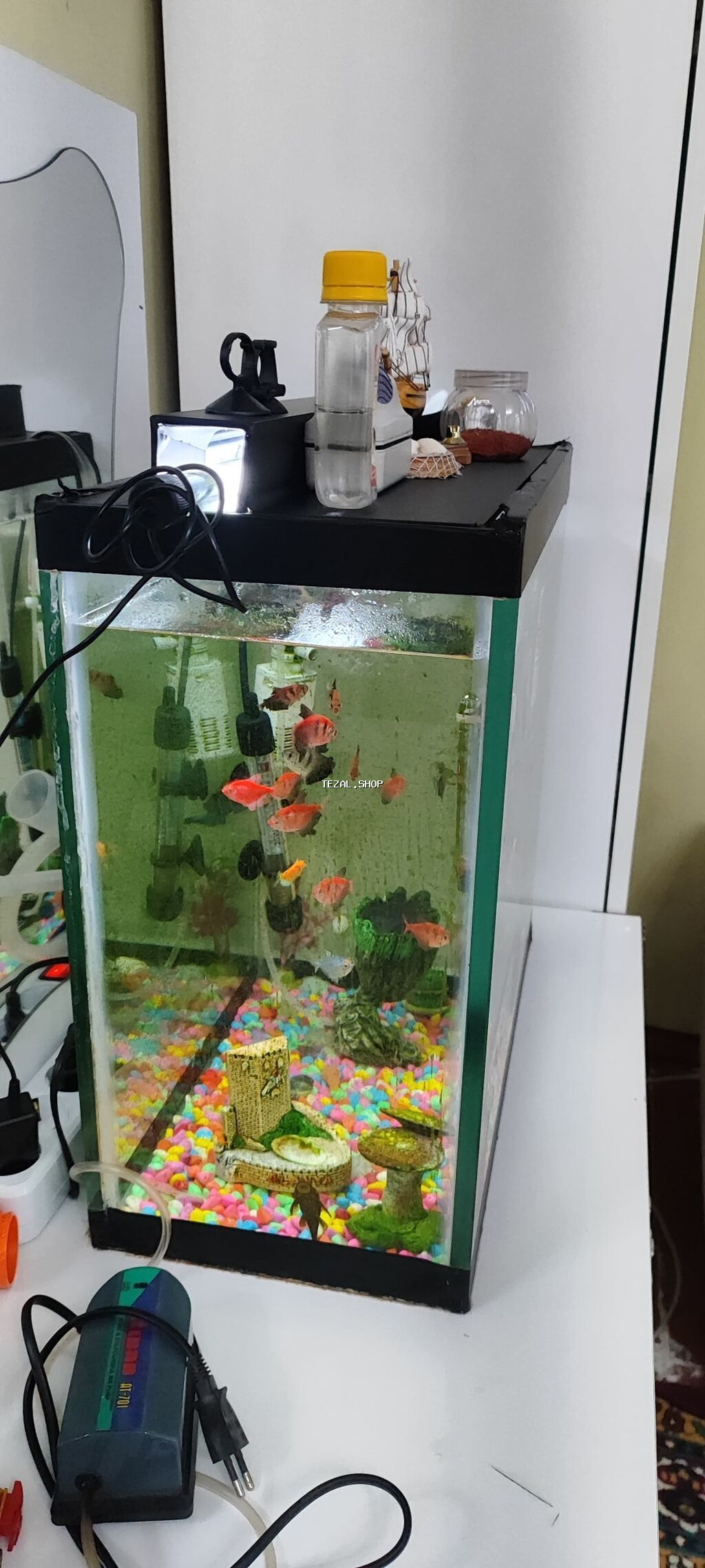 Dördbucaq akvarium, Balıqlarla birlikdə, 60 l, Ödənişli çatdırılma - şəkil 2