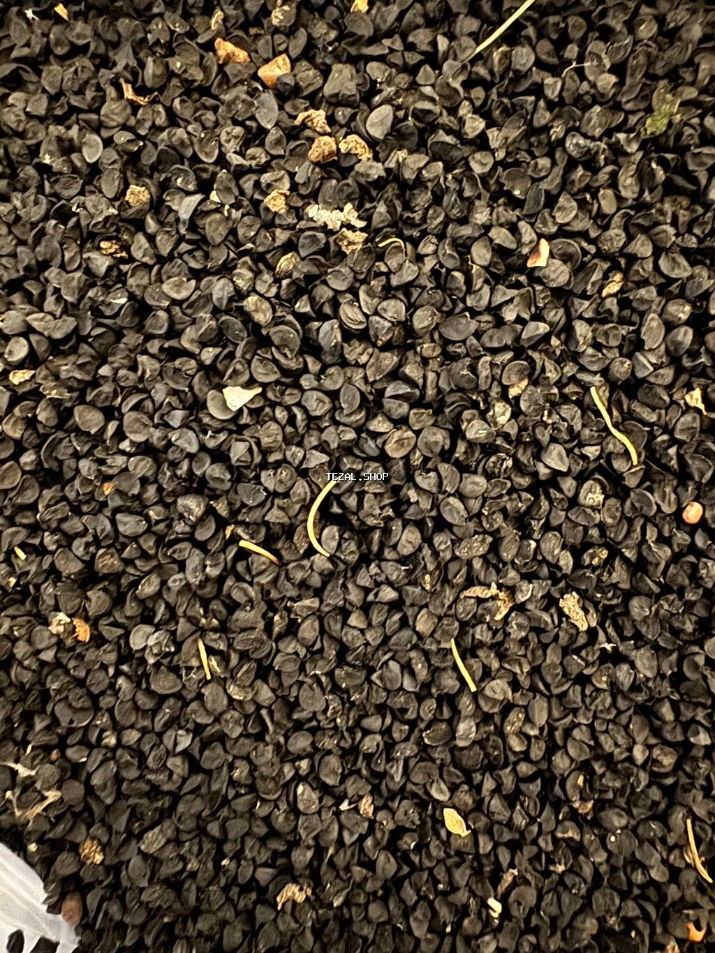 Göyərti toxumları 🍀 Keşniş-Şüyüd-Turp-Soğan-Ispanağ-Cəfəri-Vəzəri