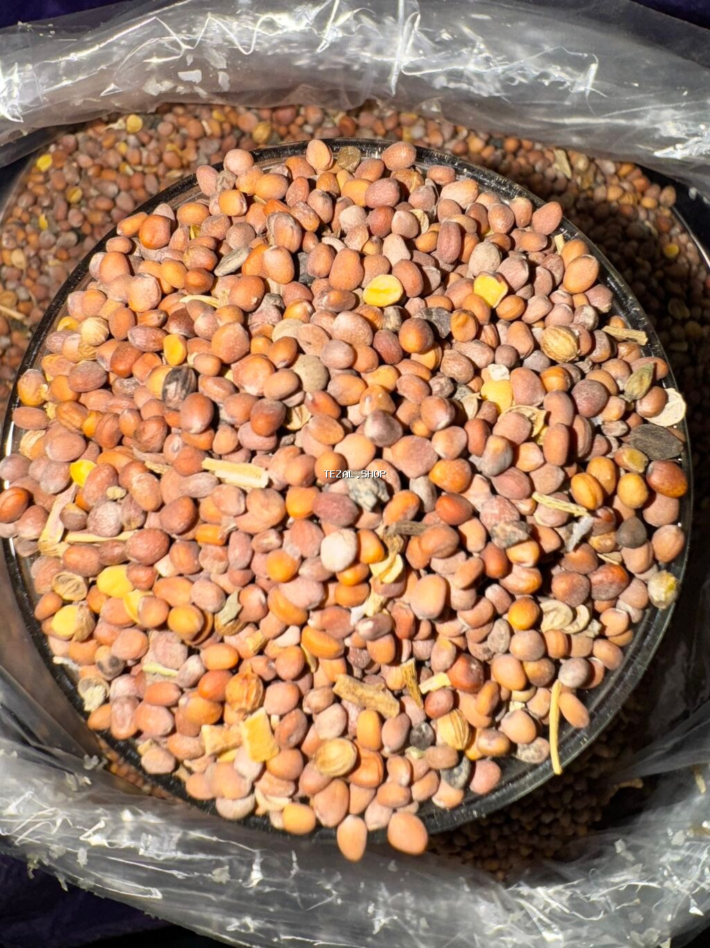 Göyərti toxumları 🍀 Keşniş-Şüyüd-Turp-Soğan-Ispanağ-Cəfəri-Vəzəri - şəkil 2