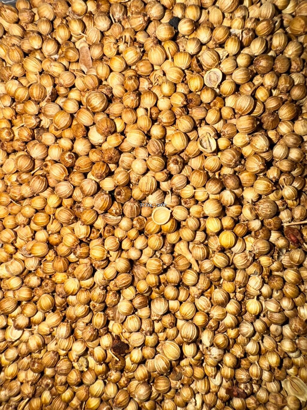 Göyərti toxumları 🍀 Keşniş-Şüyüd-Turp-Soğan-Ispanağ-Cəfəri-Vəzəri - şəkil 4