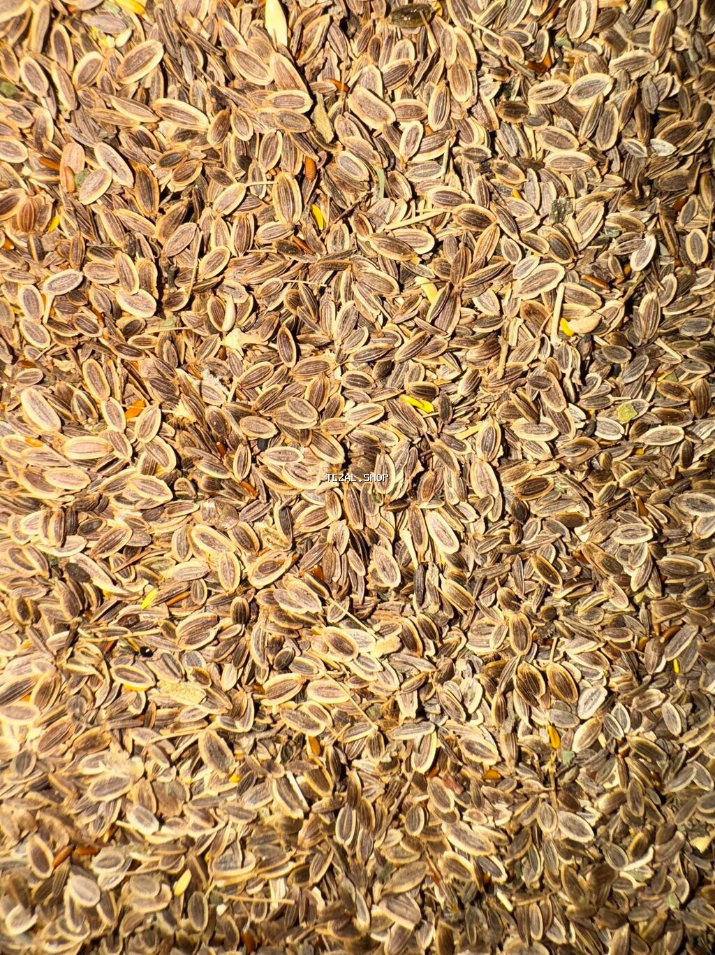 Göyərti toxumları 🍀 Keşniş-Şüyüd-Turp-Soğan-Ispanağ-Cəfəri-Vəzəri - şəkil 5